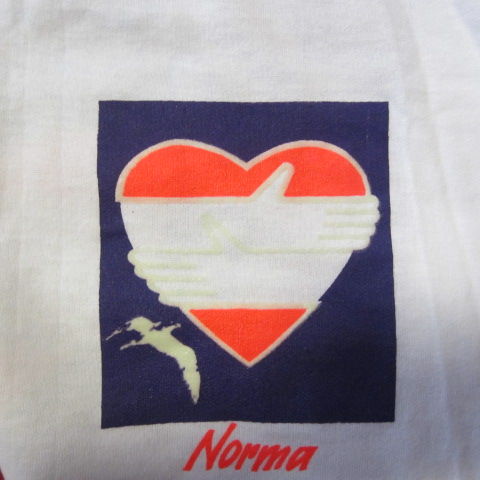 LINDOS RECUERDOS COMO ENTRENADOR DE ÉSTA VISIÓN. GENTE LINDA Y COMPROMETIDA (ESTA CAMISETA QUEDO LIBRE)